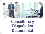 Consultoría y Diagnósticos Empresariales